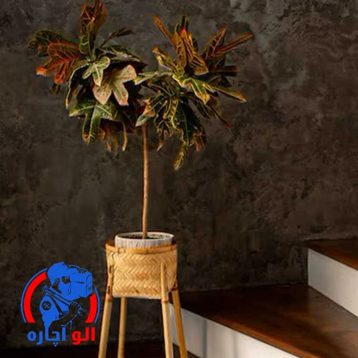 پتینه‌کاری ساده